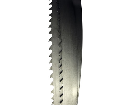 Norton Clipper Sägeband 3850x27 mm