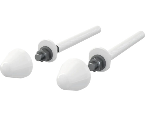 Schrauben für WC und Bidet für veporit.
