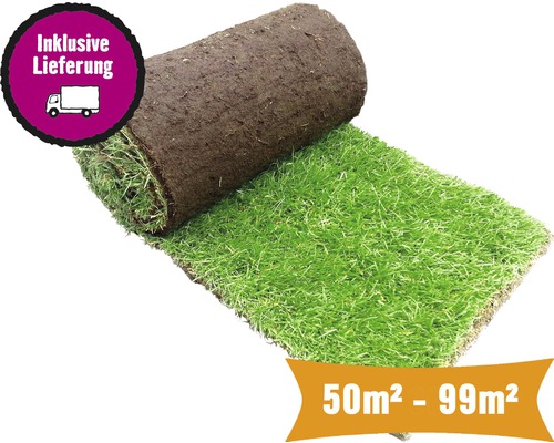 Rollrasen Sport & Spiel Bestellmenge 50 - 99 m² tagesfrisch geschält,
            strapazierfähig, schnelle Regeneration, für sonnige bis halbschattige Lage, ideal für
            Familien